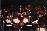 Curriculum